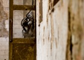 CRW_6821