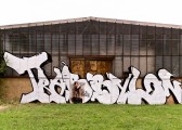 CRW_8687
