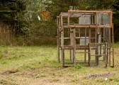 CRW_8721