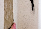 CRW_8763