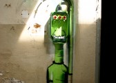 IMG_5437
